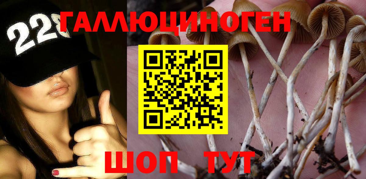 Псилоцибиновые грибы GOLDEN TEACHER Можга
