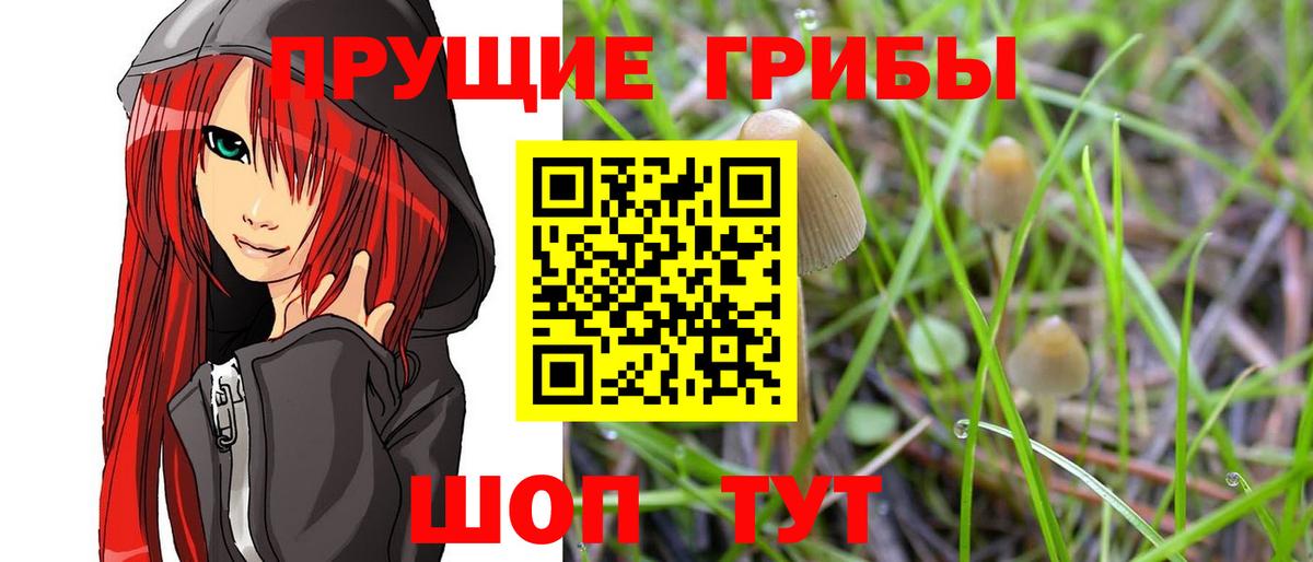 Галлюциногенные грибы мицелий  где найти   Можга  Вход с VPN  Галлюциногенные грибы Psilocybe 